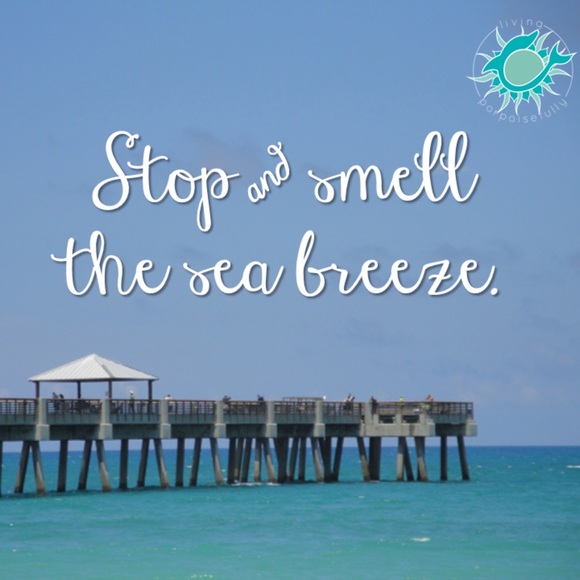 Bath & Body Works Live Fresh Seaside Breeze Ultra Shea Body Cream & Body Lotion - Picture 3 of 3